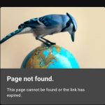 How to Tell Whether Bing Has Discovered a New Page