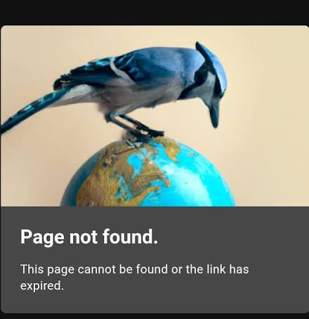 How to Tell Whether Bing Has Discovered a New Page